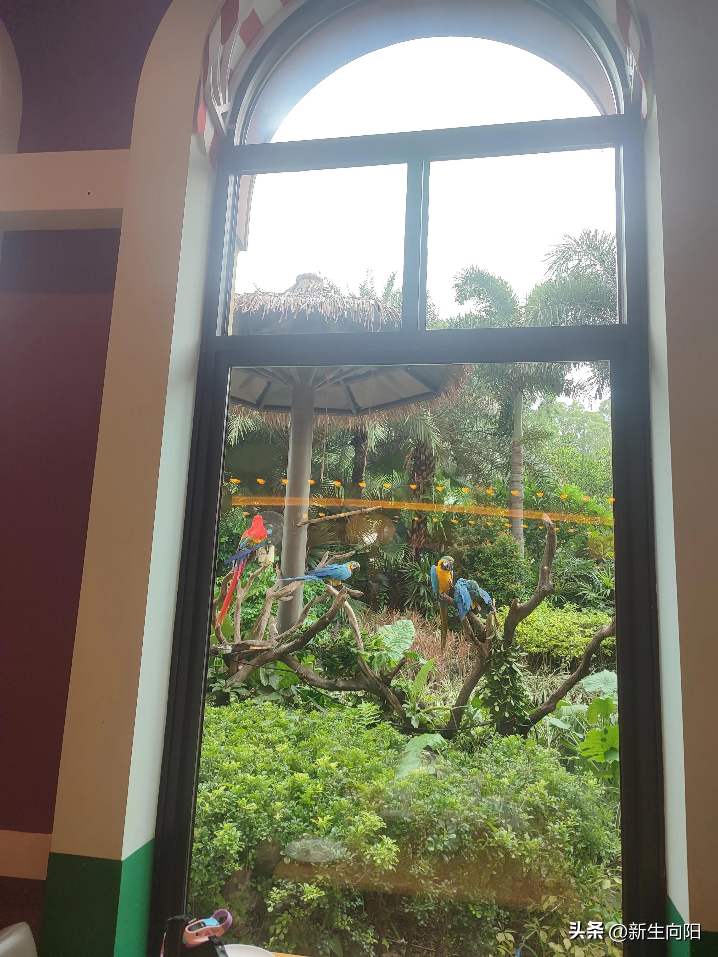 长隆野生动物园两大一小,长隆野生动物园一家三口