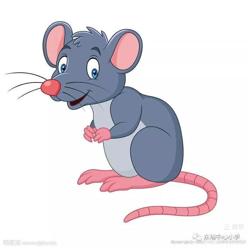 幼鼠被猎杀,灭鼠反被杀