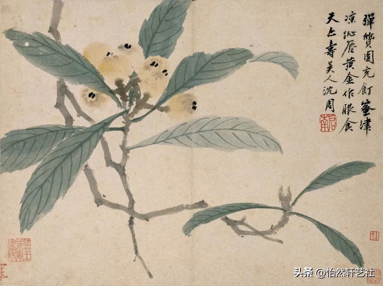 名家艺谈‖杂花生树独占芳菲—关于中国花鸟画史的随感（一
