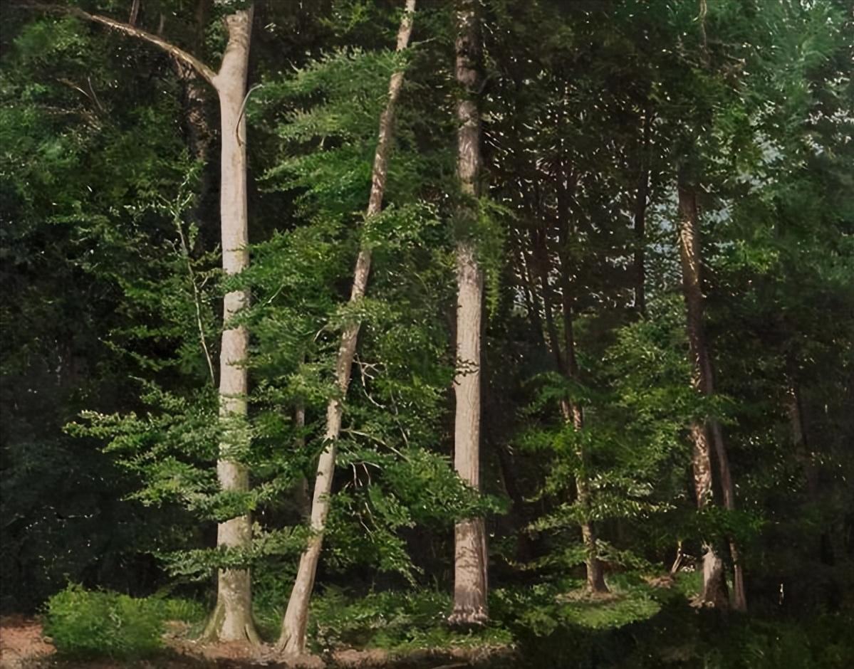 法国版花木兰圣女贞德,最惊艳的圣女贞德