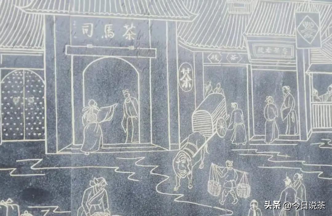 三分钟带你了解云南茶,茶叶小知识一分钟了解滇红茶