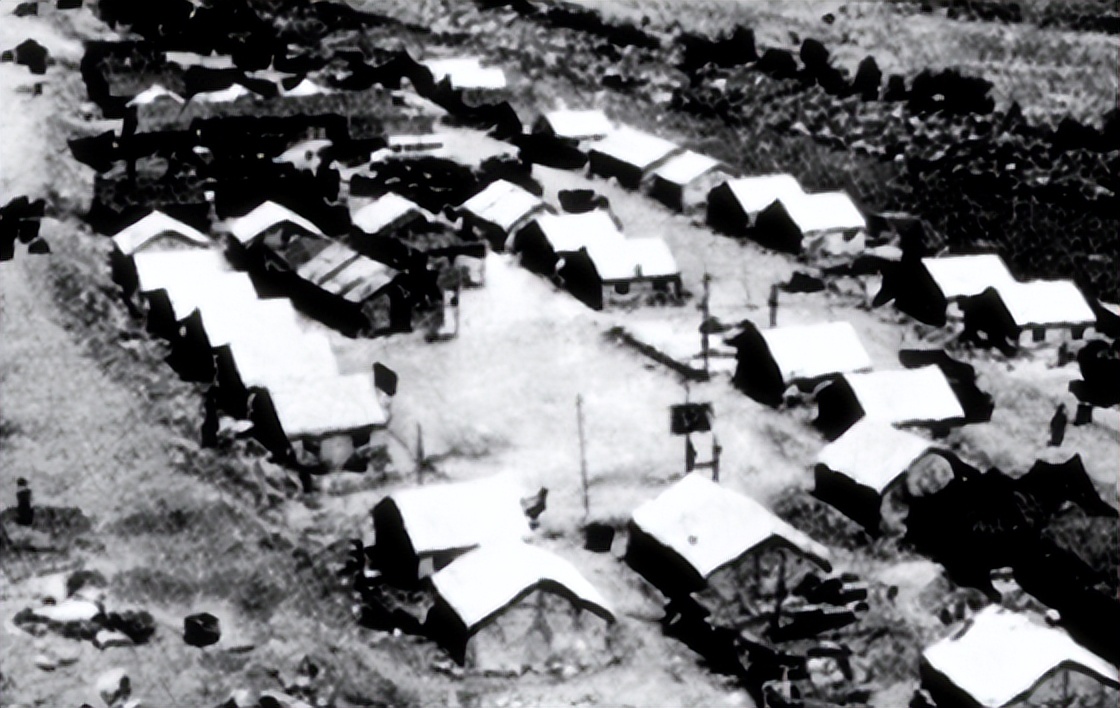 发生在*疆新**的人蝎大战,年轻的知青们危在旦夕,生死关口天降神兵