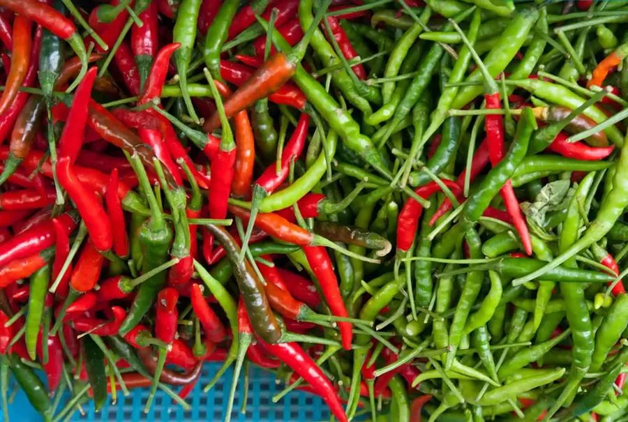 儿童油画简单又好看蜡笔画,6-12岁儿童绘画课程水粉画