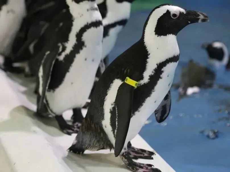 冰城夏都|母亲节带妈妈这样玩，送她一份特别的礼物！