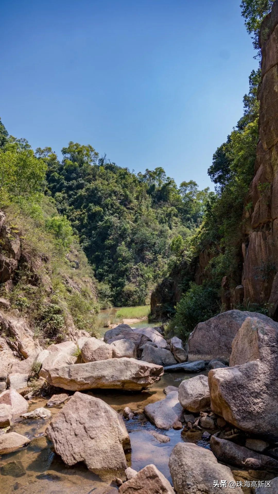 遛娃必看！这些春日色彩，就藏在高新区的公园里…
