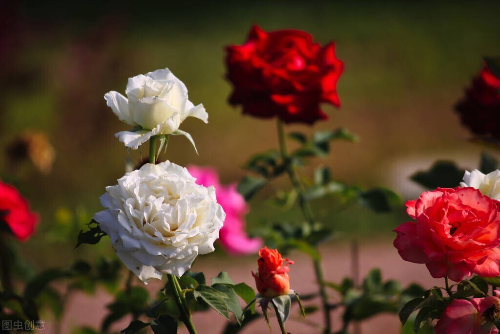 如果你结婚了请给我请柬当时我没及格我想看看你的标准答案