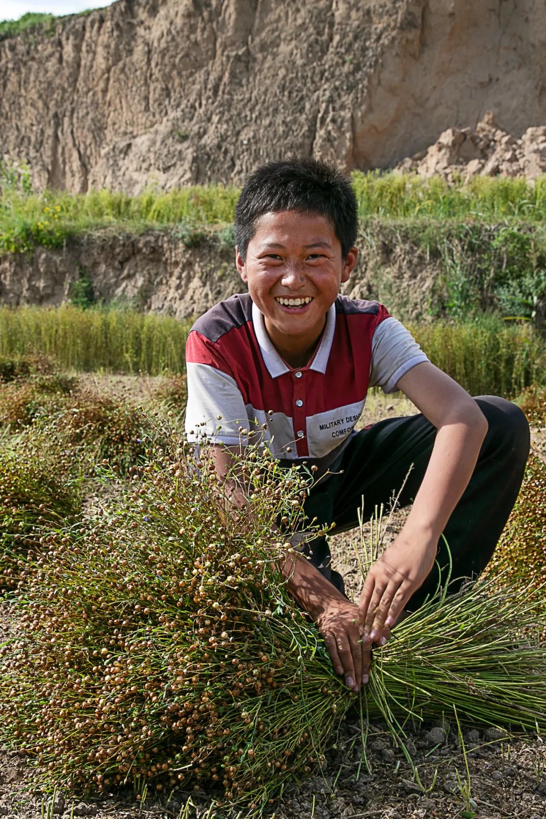 甘肃人一年四季都吃面为什么不胖,甘肃吃米还是面