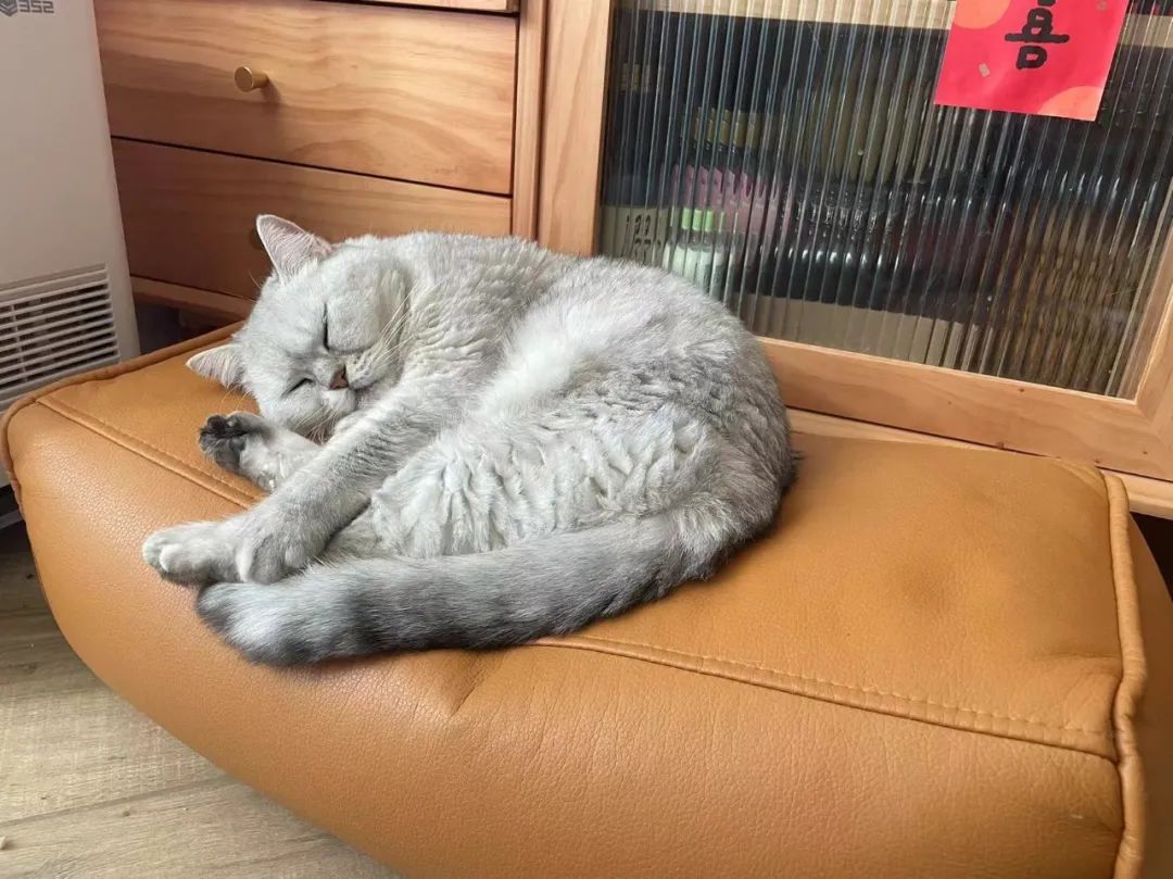 「阳了」之后，独居青年、小婴儿和99岁老人的故事