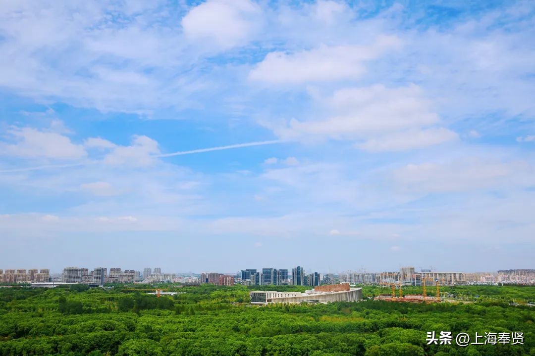 九月的第一天阳光灿烂,九月的第一天有点甜