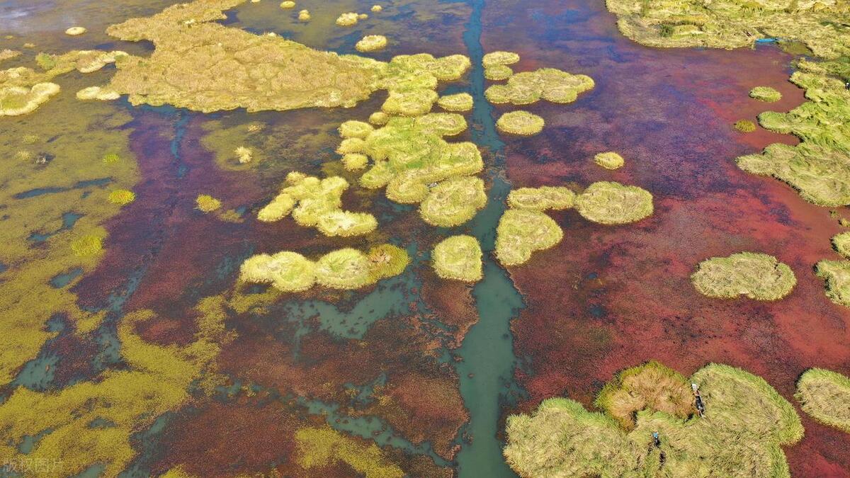 一个人在荒岛怎么生存,如果意外被困在荒岛上怎么办