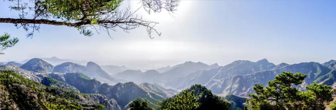 踏青济南攻略,济南黄河边春游攻略