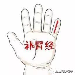 便秘不用愁舌象告诉你如何调理,便秘不吃药最快的一招通便