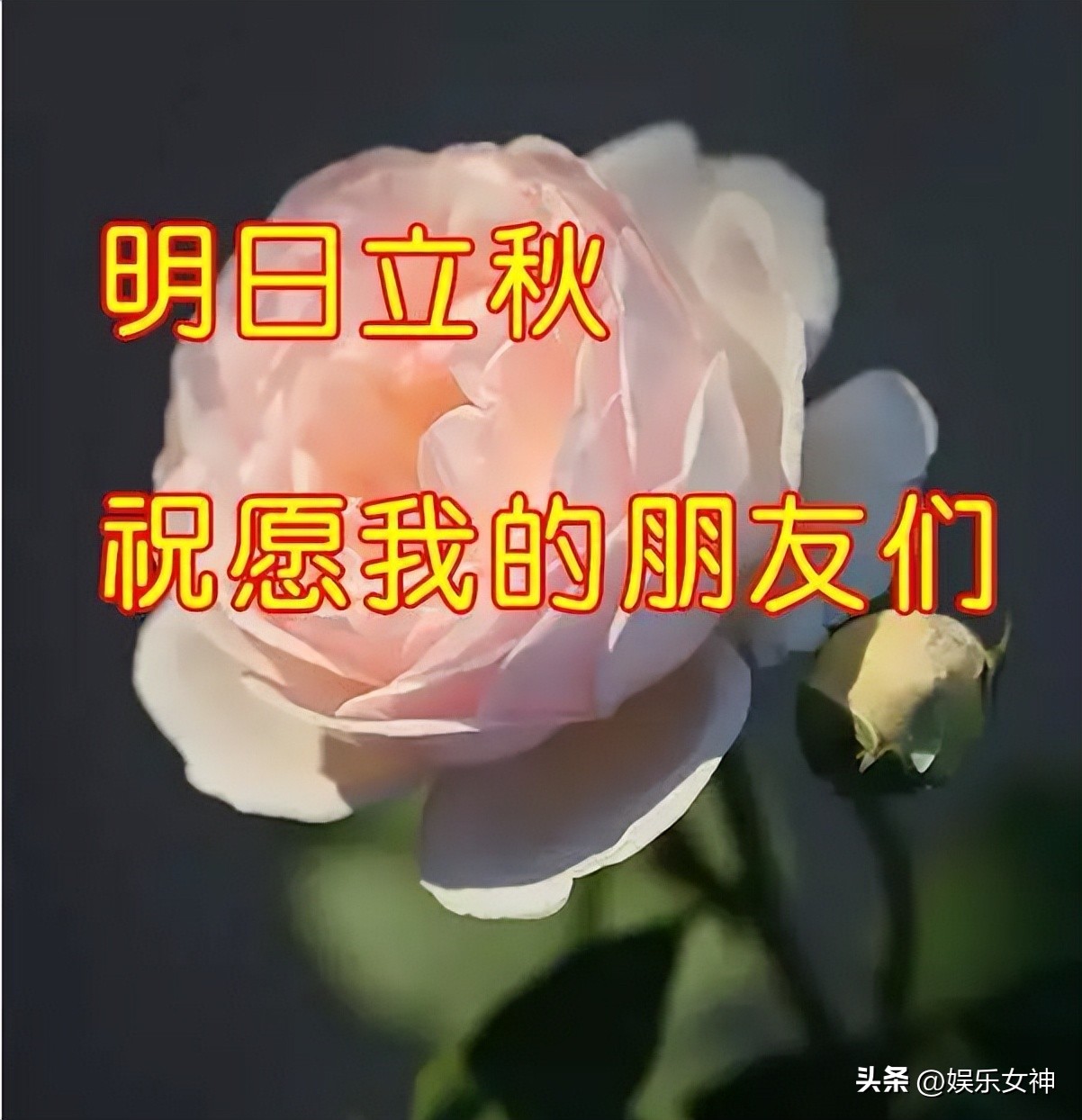 立秋高雅问候表情包,最新处暑早上好表情包