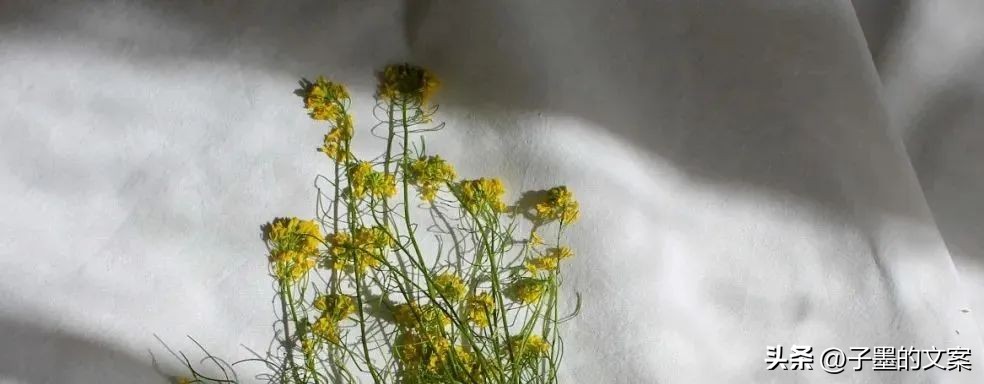 秋分朋友圈文案小红书,秋分暖心文案短句唯美