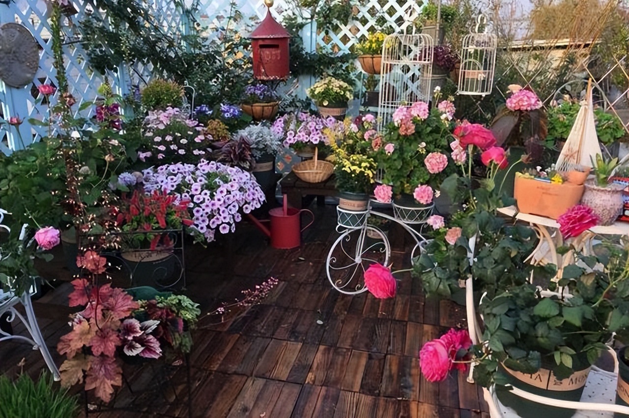 家里养花不养人的说法,家里花养不起来是不是风水不好