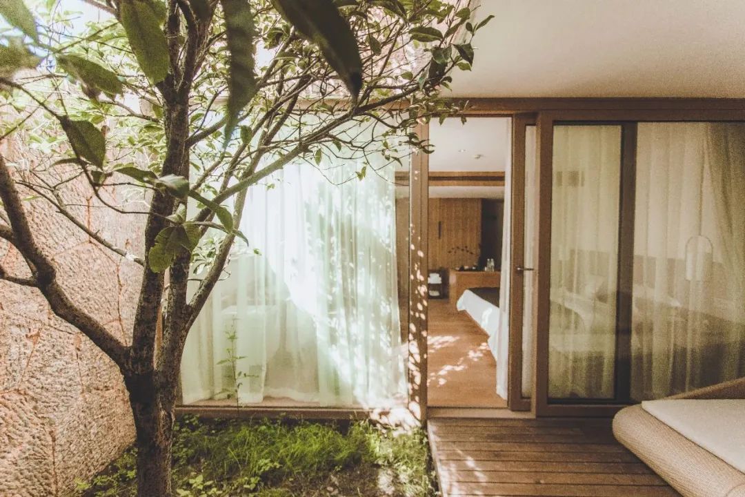 乡村振兴谋划不全不细典型案例,国内外乡村振兴典型代表及案例