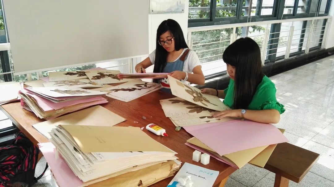 浙大博物馆十大镇馆之宝,浙大考古与艺术博物馆