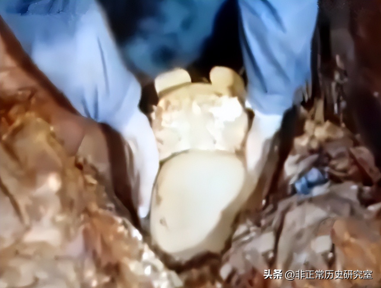 明为什么只有十三陵,十三陵为什么发掘万历皇帝的定陵