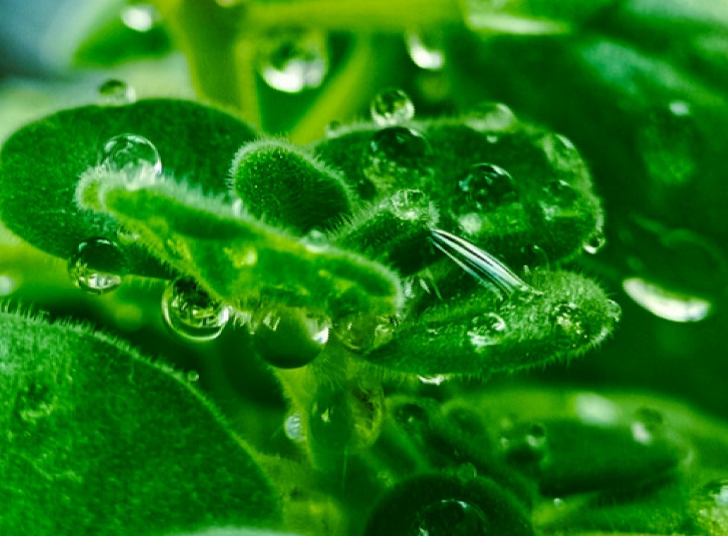 六月再见七月你好忘掉该忘掉的人,六月再见七月你好不为往事忧