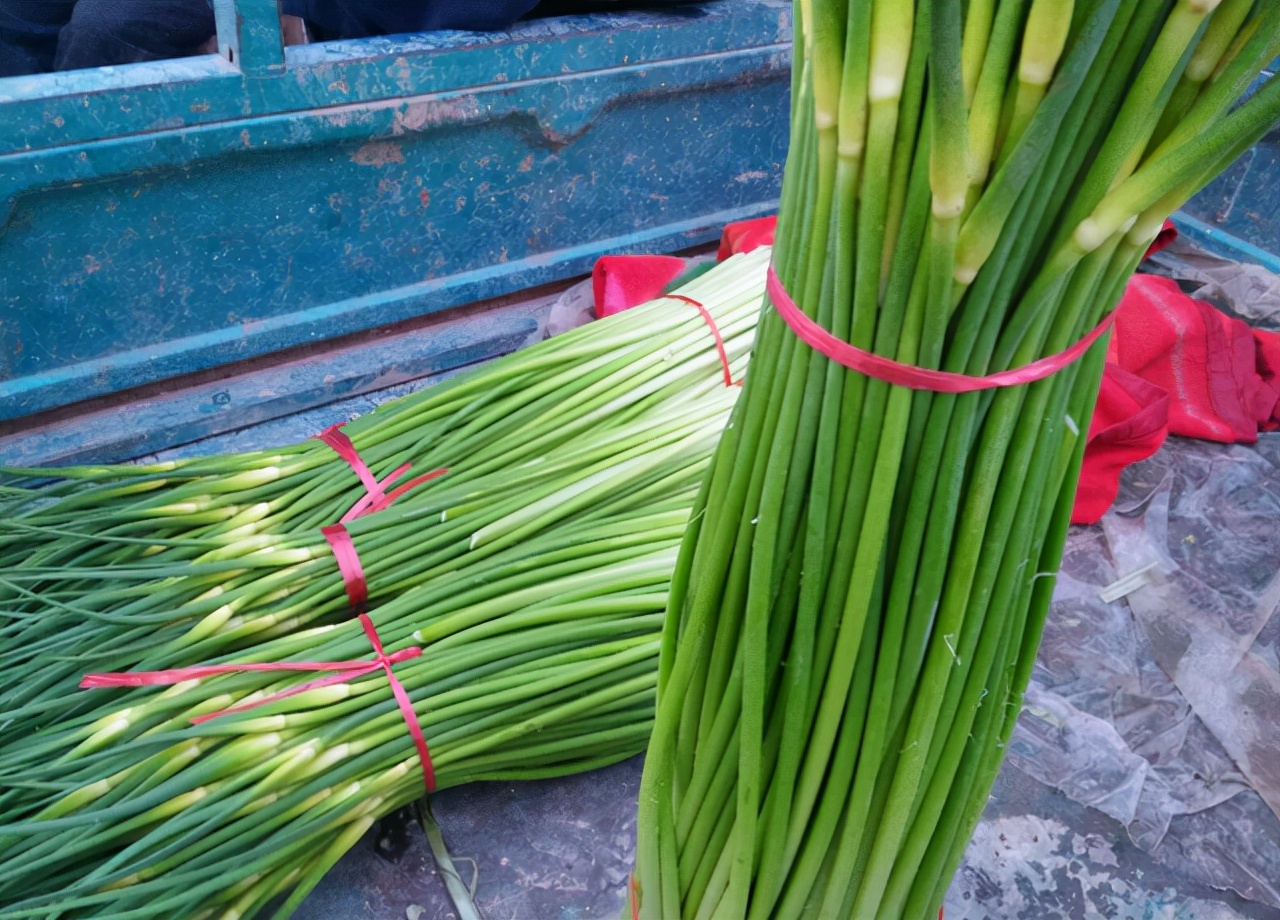 不建议吃的食物,不建议吃的东西是什么