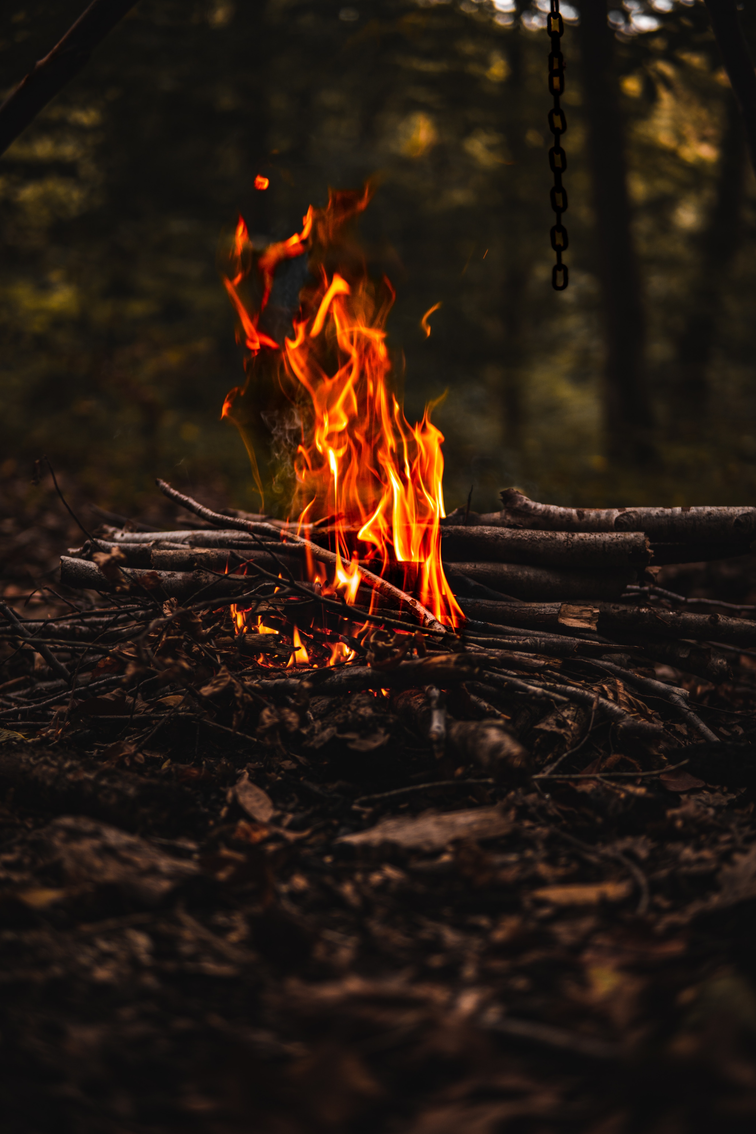 杨旭徐云,杨旭和徐云