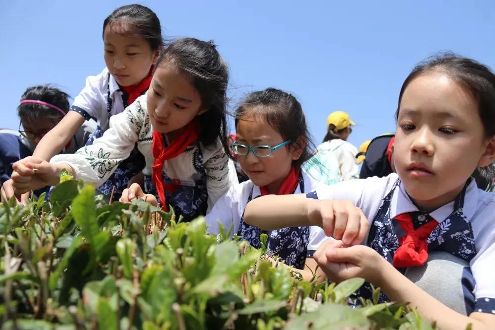 谭正平农业专家简历图片高清版,重庆市农科院谭正平