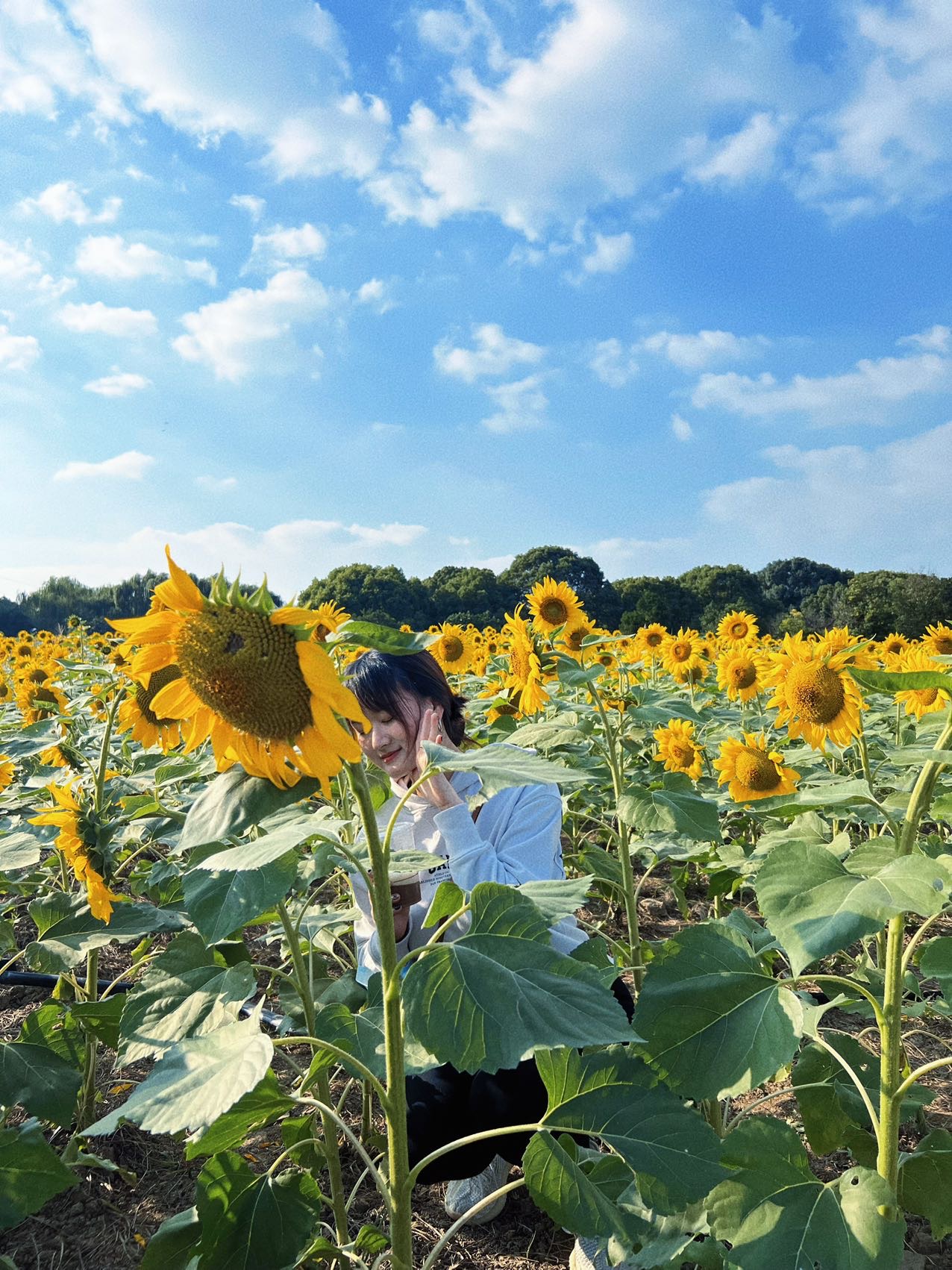 92年女生，165cm，本科，外企主管，房车兼备。动静皆宜，善良