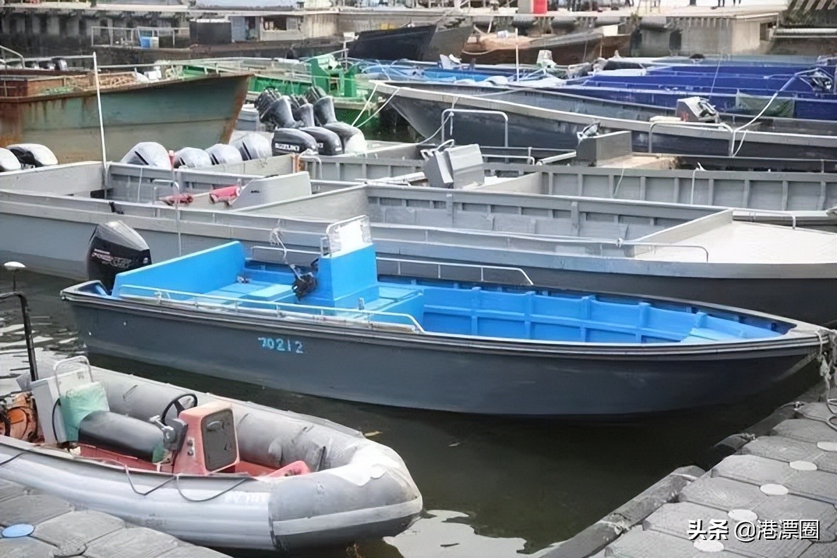 我从内地偷渡到香港的宠物，半路被水警抓走了