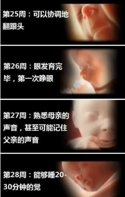胎宝宝每个月发育全过程图,胎宝宝1到10个月变化过程