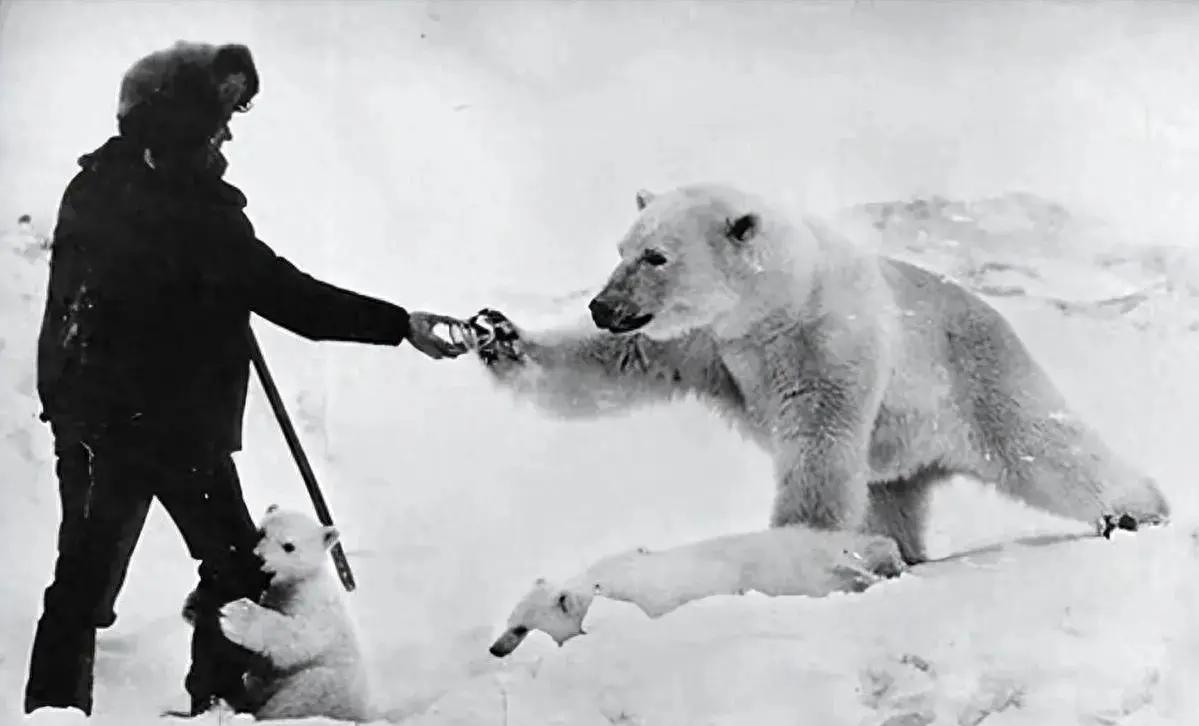 清代杖刑老照片,晚清刑犯图片大全