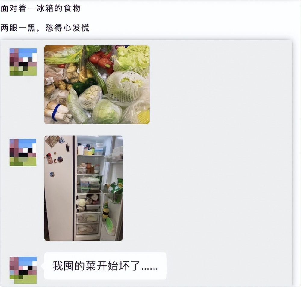 长虹美菱绿色冰柜,长虹美菱156升家用小冰柜