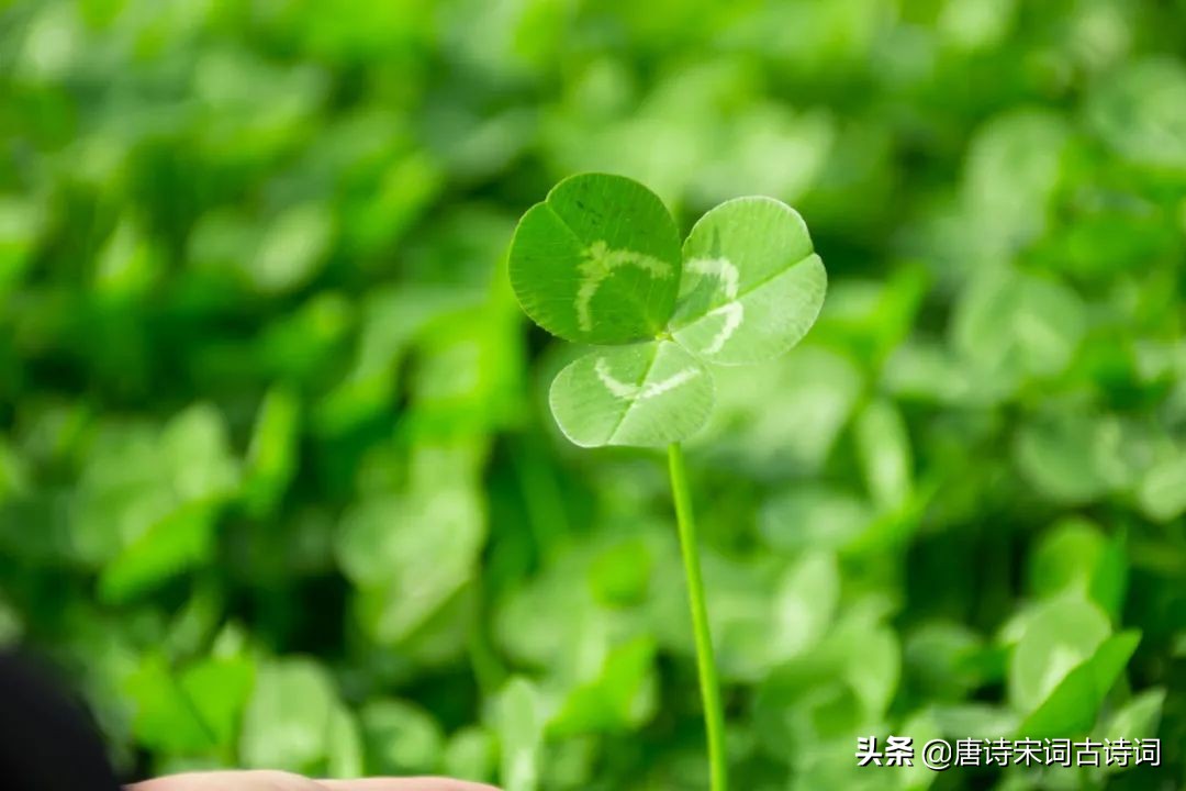 春天六个节气古诗,关于春天节气的古诗句