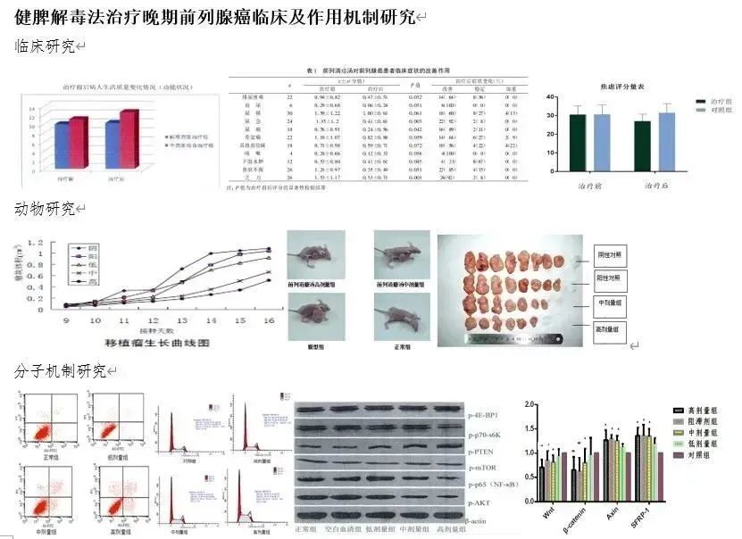 治疗前列腺癌晚期中医药有哪些,治前列腺癌的中药