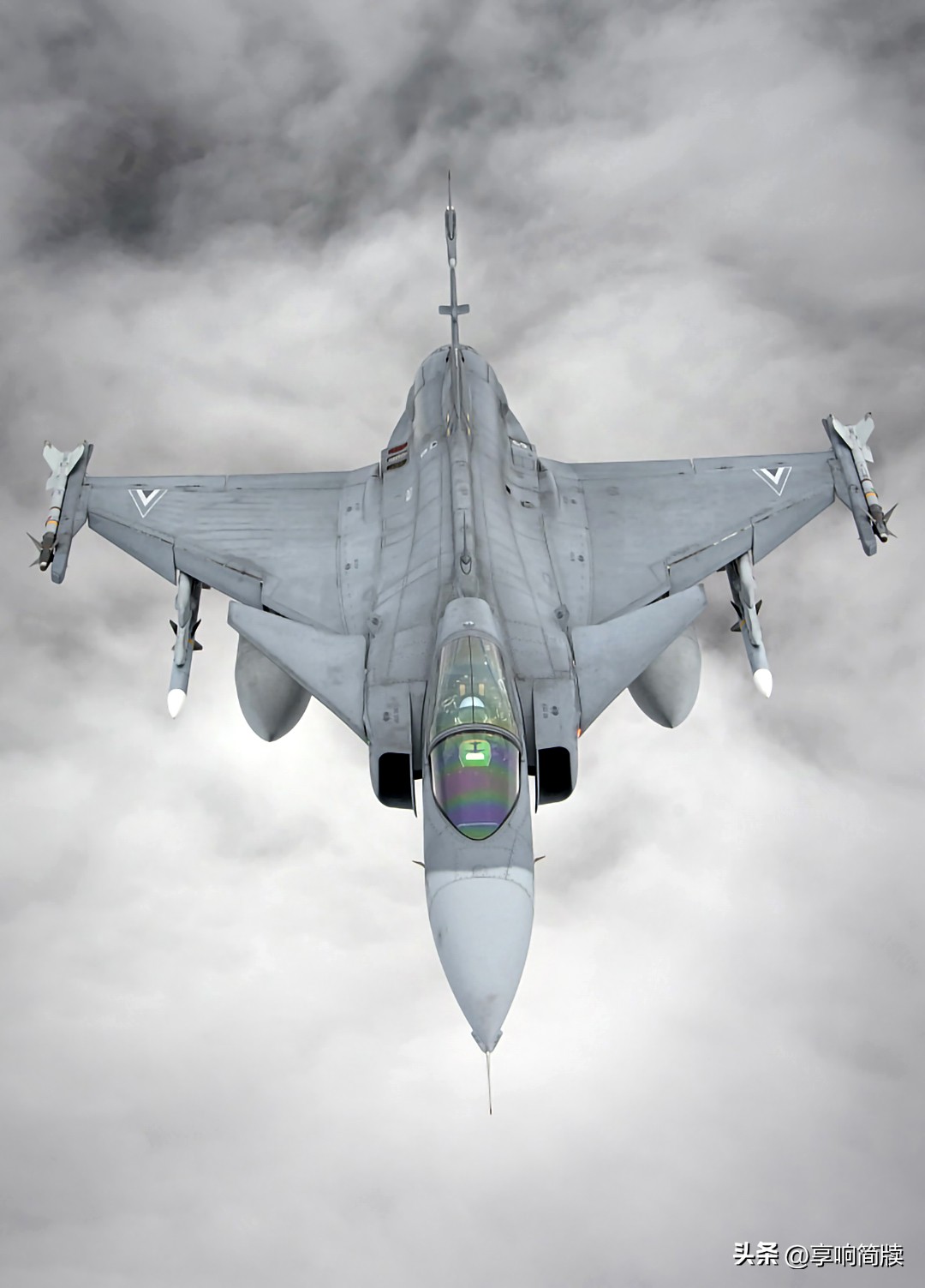 jas-39鹰狮战斗机,jas39鹰狮战斗机外贸版