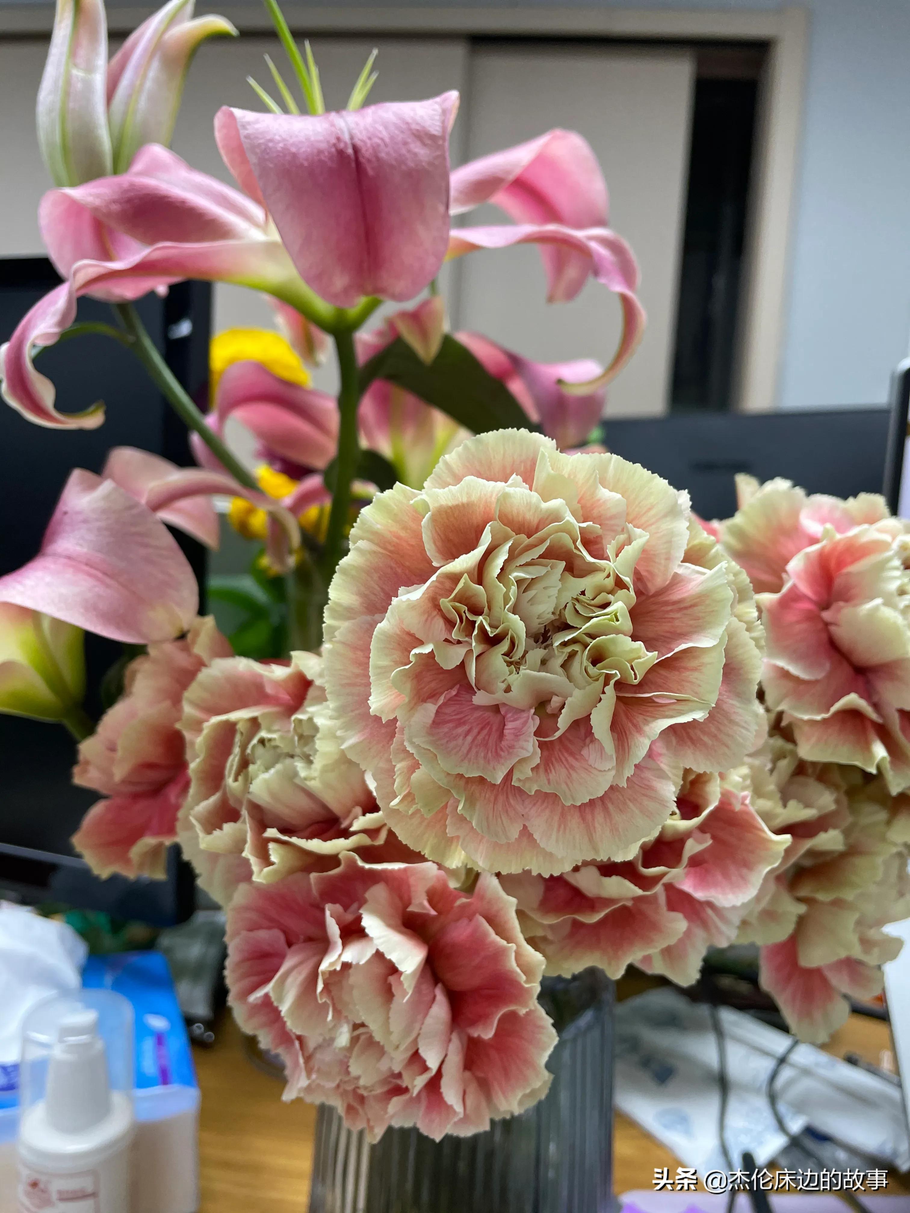 网上鲜切花怎么养护,最耐养的鲜切花