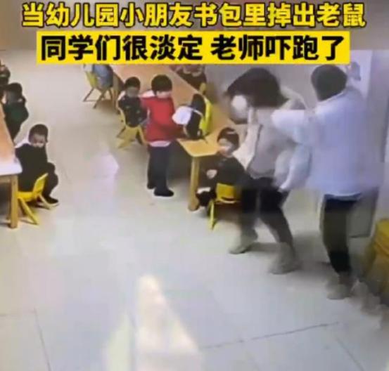 小朋友书包掉出老鼠,小朋友书包掉出老鼠吓坏老师
