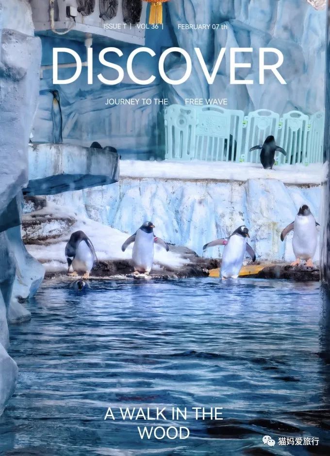 5天“趣”玩青岛，我的私藏遛娃路线