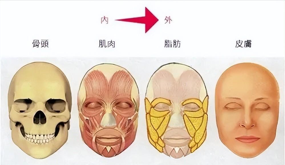 发腮和塌腮哪个更显老,发腮真的显老吗
