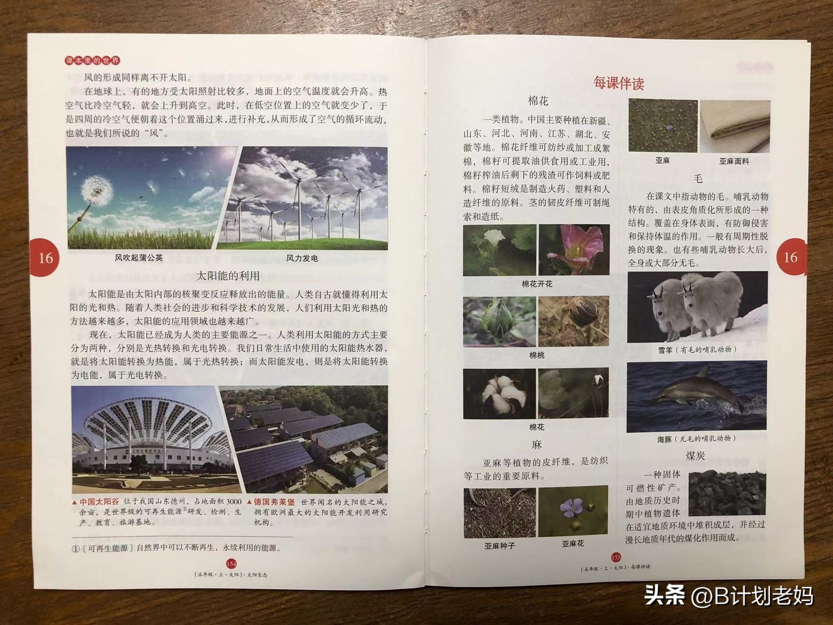 网红教辅《年级阅读》，语文课外一本就能省心了？不，我不这么看