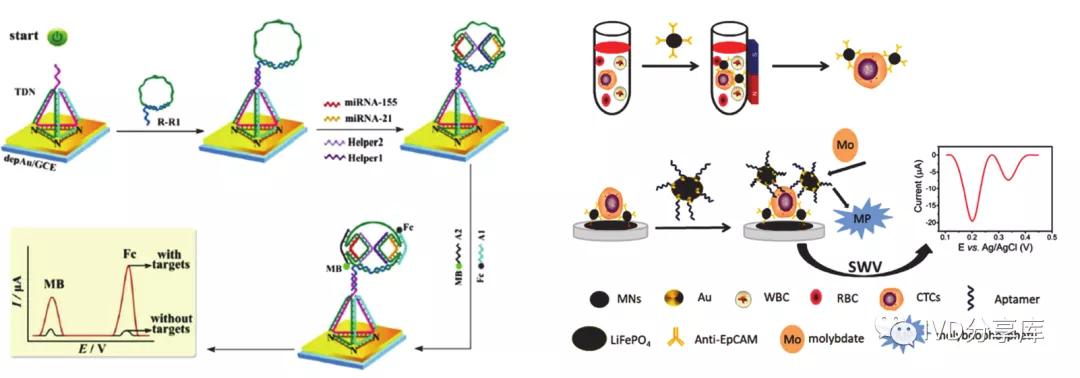 电化学传感器检测方法,电化学检测领域