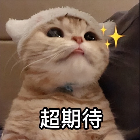 合肥活动报名Jul.16|解锁60位青年才俊的朋友圈，就在这个暑假!