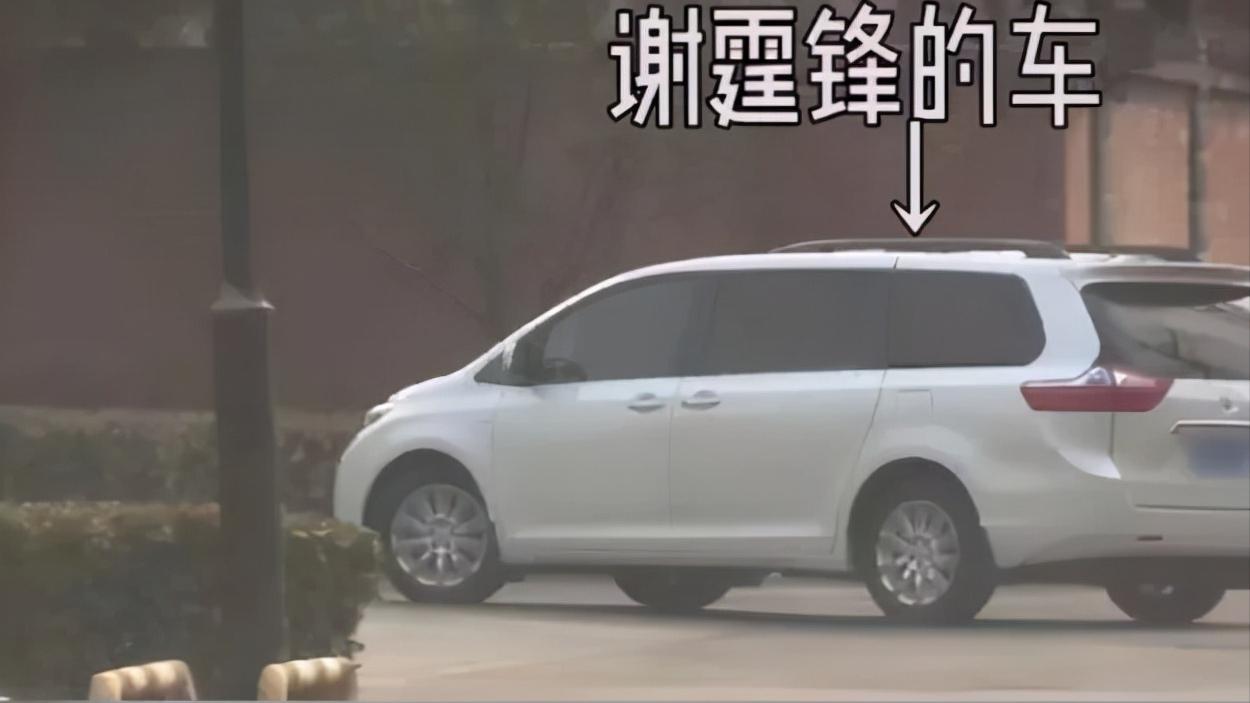 王菲和谢霆锋这是什么样的爱情,张柏芝和谢霆锋王菲近况