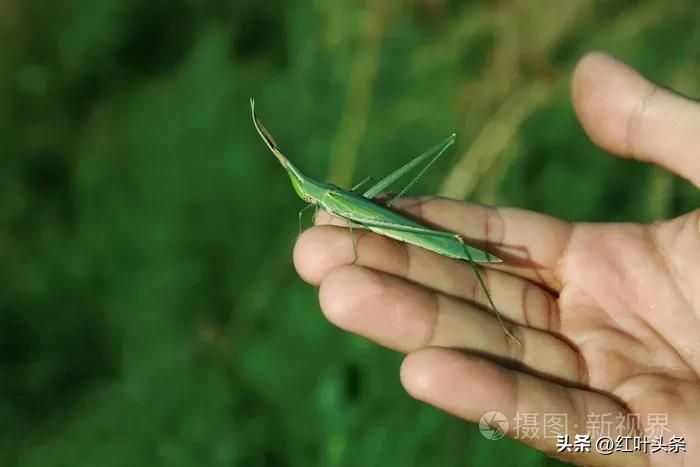 曾经陪伴我们的游戏.孔令哲