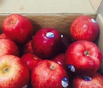 女儿怀孕了,所以我冲向她,当我看到公婆买的水果时,我劝她辞职