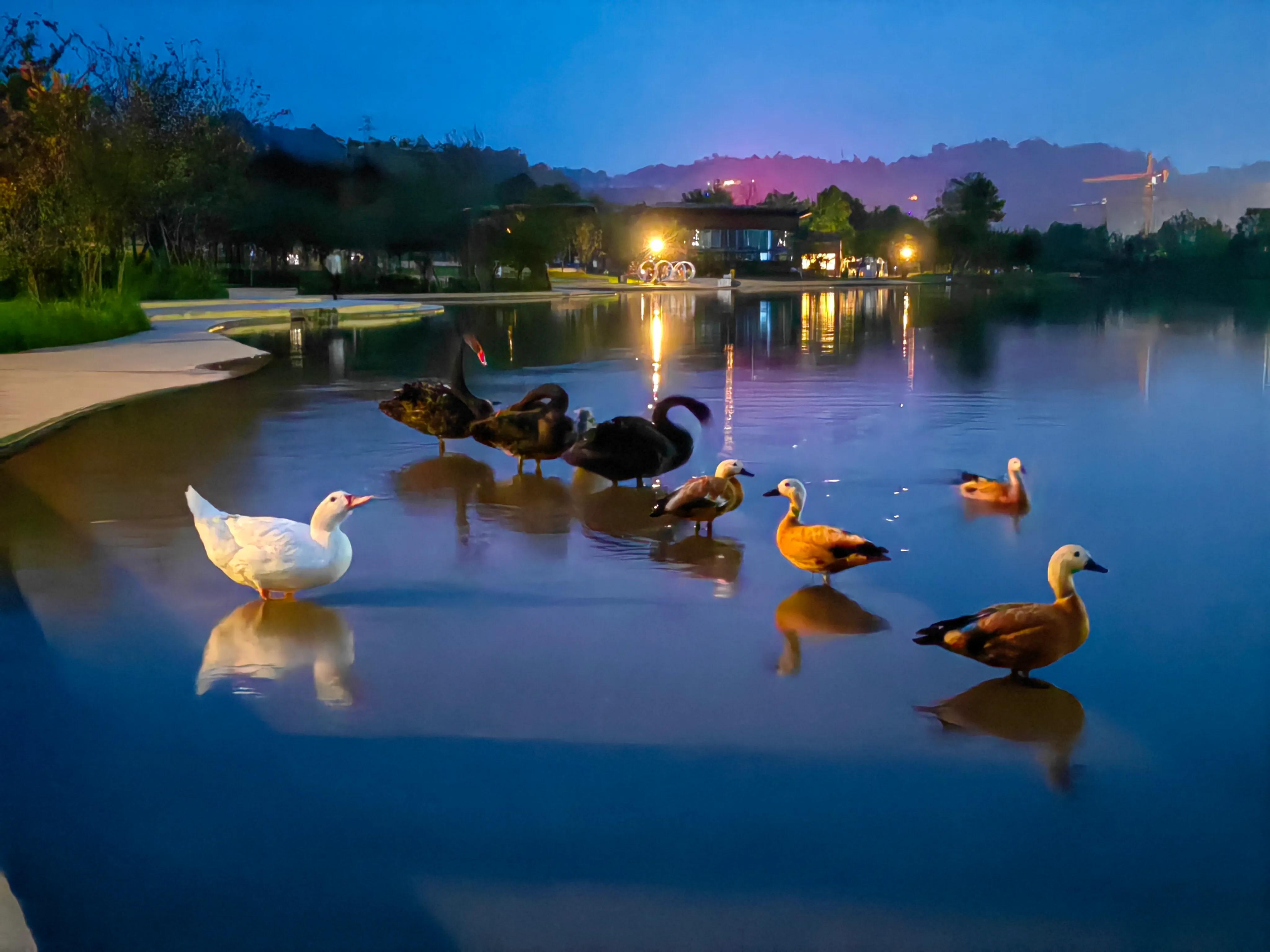 手拍世界手机摄影平台,手拍世界摄影网