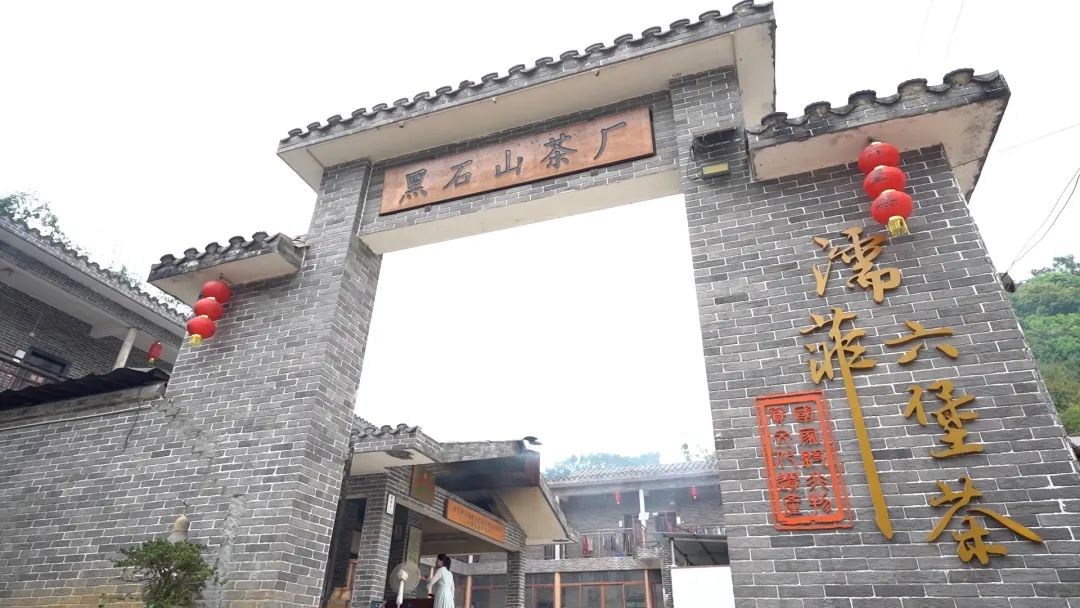 一个小时能采摘多少斤茶叶,原来采摘1斤茶叶需要4小时