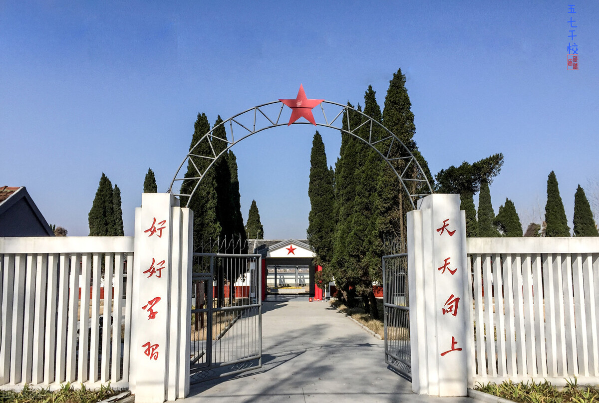 重新开展知青下乡,返乡知青下乡创业