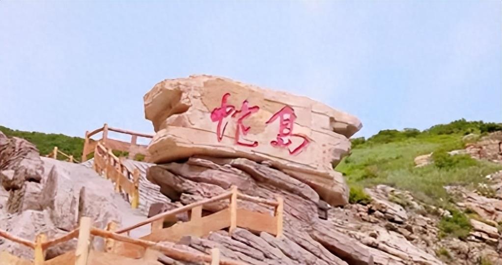 蛇岛生态链惊现老鼠吃蛇,2万条蛇成口粮引关注