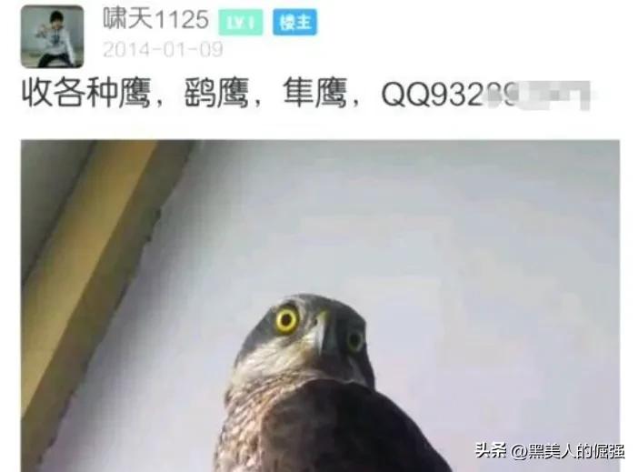 大学生因掏鸟窝被判有期徒刑十年,父亲坚持上诉五年,是错判吗