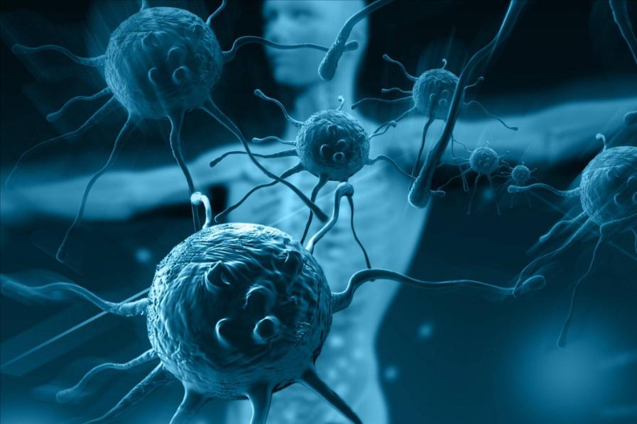 女性毛发容易掉落,女性毛发越来越重是什么原因